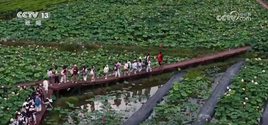 各地文旅“打开方式”花样翻新 不断激发“夏日经济”消费新活力