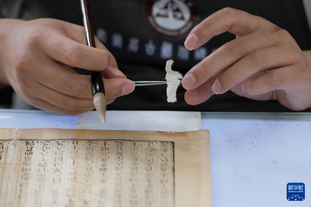 文化中国行·守宝人｜走近百年图书馆里的古籍守护者