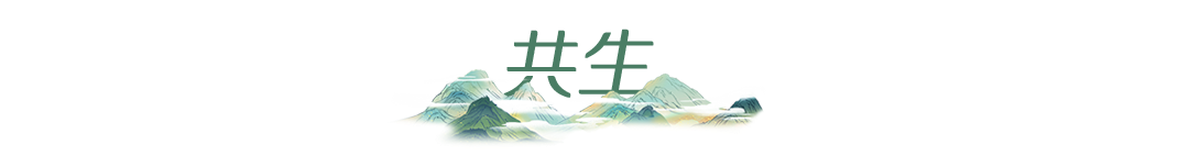 活力中国调研行丨从“浙”里，看中国