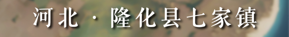 从太空看“十四五”｜乡村振兴万象新