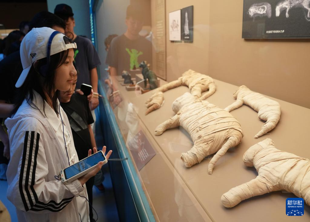 博物馆不眠夜：上博古埃及文明大展开启168小时嘉年华