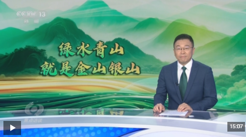 焦点访谈丨矿山变青山 看浙江余村的生态蝶变