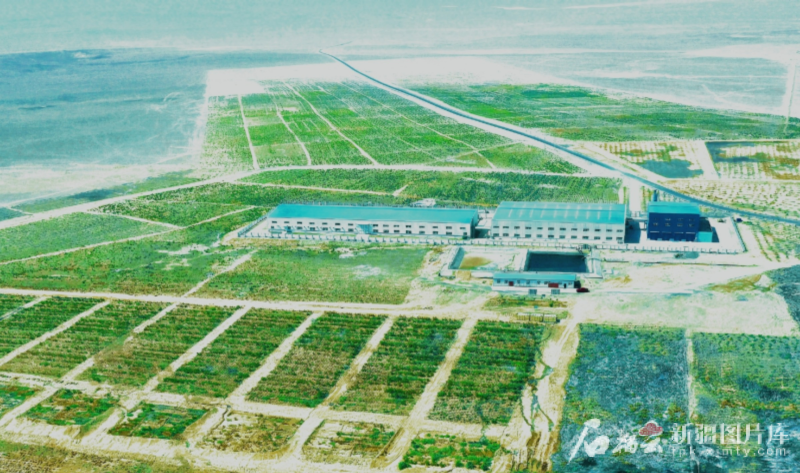 践行“两山”理念 建设美丽新疆丨矿井水养鱼 煤海绿意浓