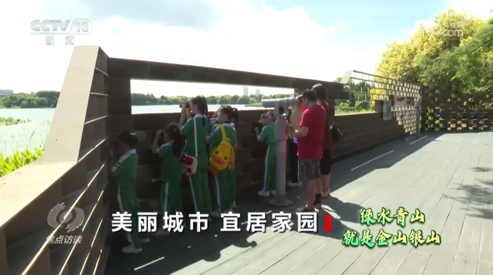 焦点访谈｜书写生态答卷，各地交出亮眼“绿色成绩单”