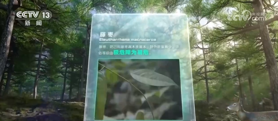 一“升”一“降”彰显绿色发展内核 绿潮奔涌绘就万物各得其所、生生不息生动画卷