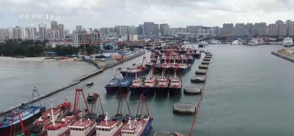 “开海仪式+特色民俗”迎出海 乡村文旅“小切口”撬动渔村“大变化”