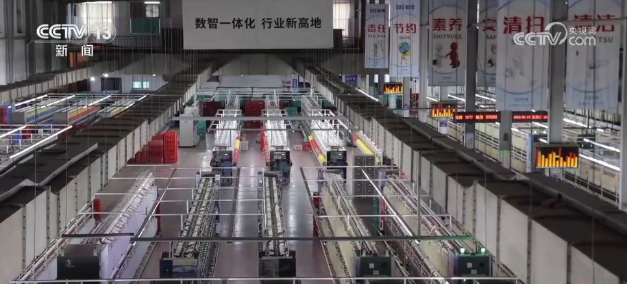 企业手握竞争力“法宝”闯出市场新蓝海 纺织行业向“数据驱动”转型“加速跑”