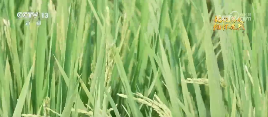 抗日根据地·今昔巨变 | 焕新颜 展笑颜 革命堡垒变身开放新引擎