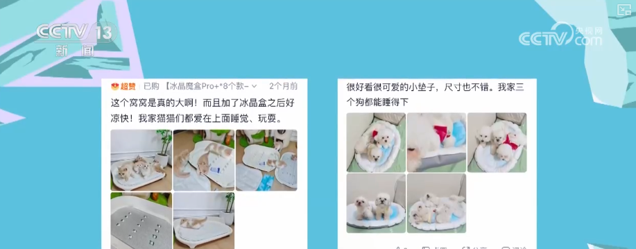 “清凉经济”乘“热”而上 热产品、暖服务将“凉资源”变成“热钱流”