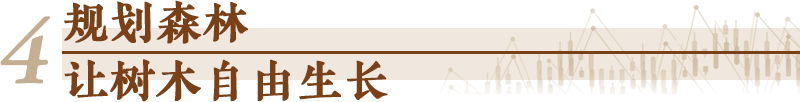 经济随笔丨五句话打开“五年规划”