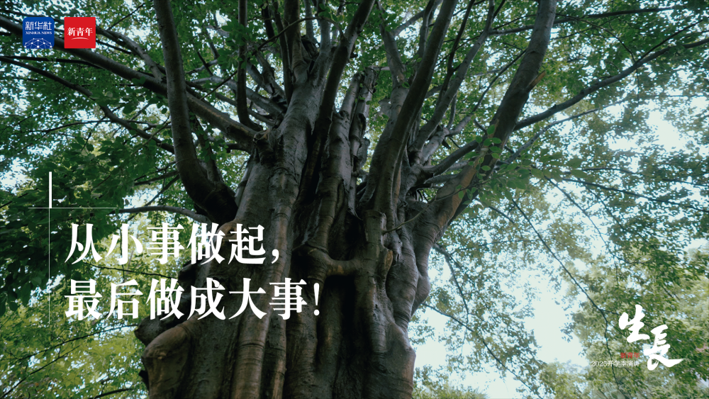 张桂梅×宋佳，这篇演讲送给开学的你！