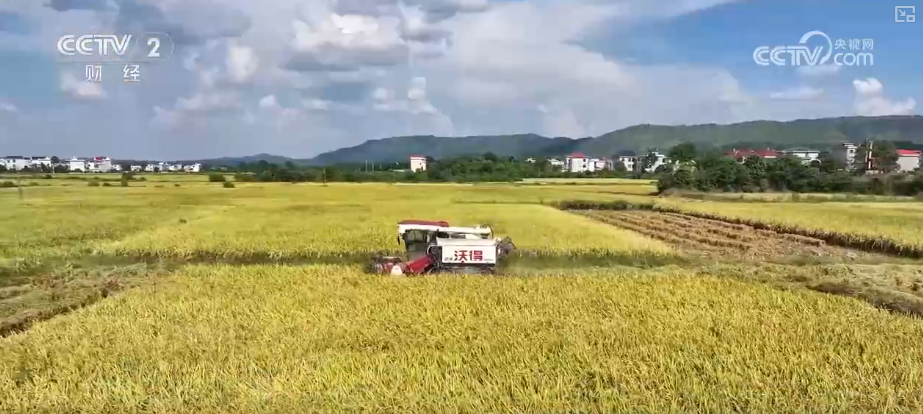 “指尖轻触”智慧耕作 “科技护航+精准服务”夯实秋粮丰产基础