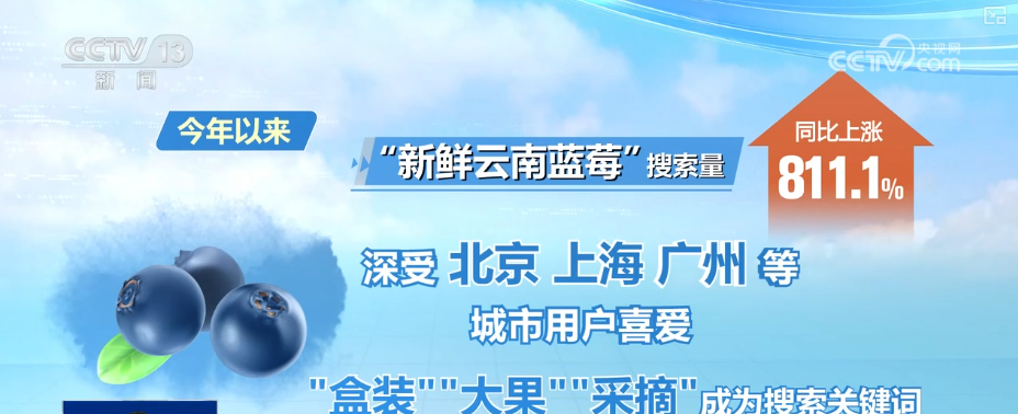 “甜蜜产业”出海“闯世界”圈粉无数 透过大数据解锁消费新趋势