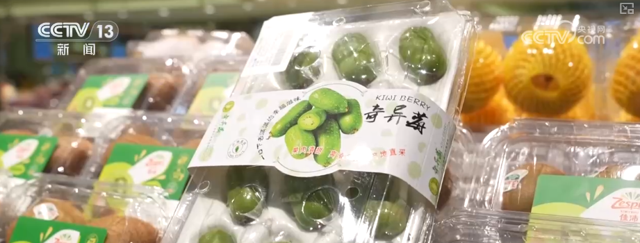 “甜蜜产业”出海“闯世界”圈粉无数 透过大数据解锁消费新趋势