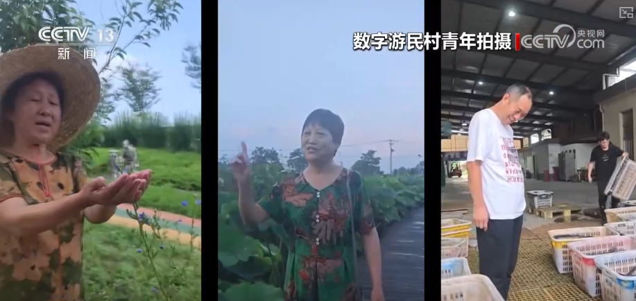 “青银共居”点亮乡村发展新实践 “好颜值”转化为“好价值”助农增收