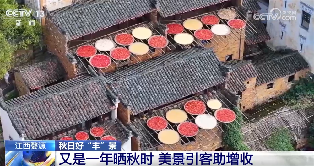 瓜果飘香、田野金黄、收获正忙 秋日大地“调色盘”绘就富农好“丰”光