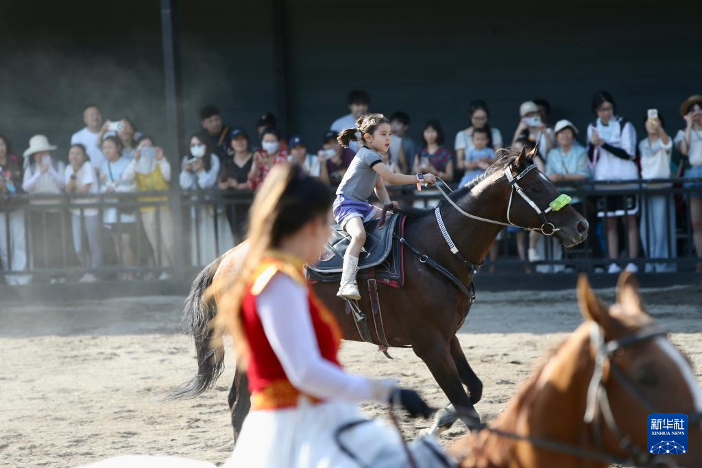 以马为生，以梦为马——新疆驯马师的十年“驭”梦路