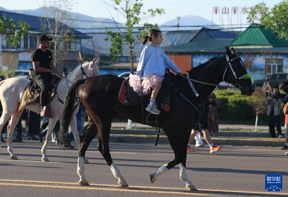 以马为生，以梦为马——新疆驯马师的十年“驭”梦路