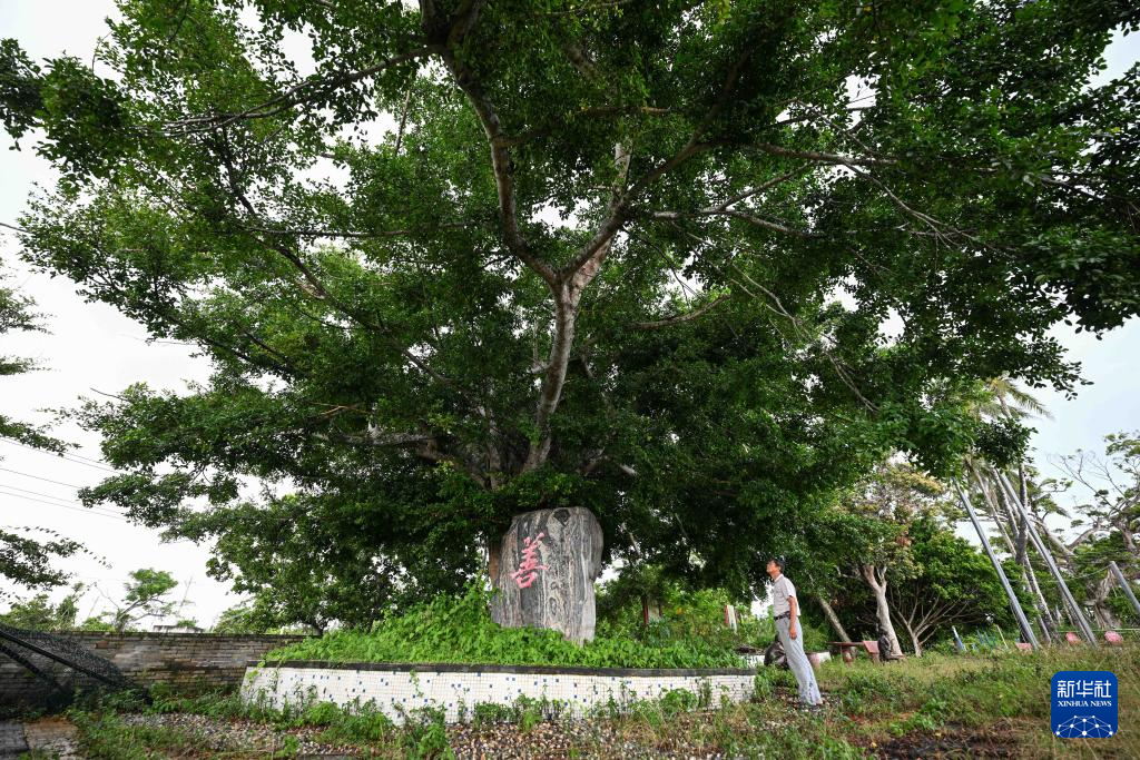 文化中国行·传统村落人文影像志丨海南加美村：贤士故里 诗意栖居