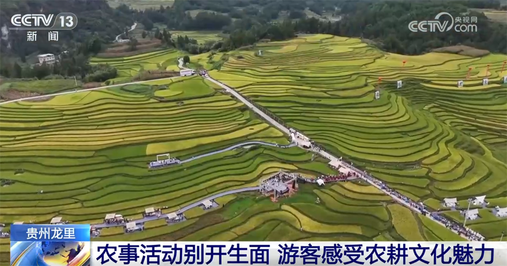 “旅游+”“体育+”等融合消费场景加快培育 服务消费增势稳定