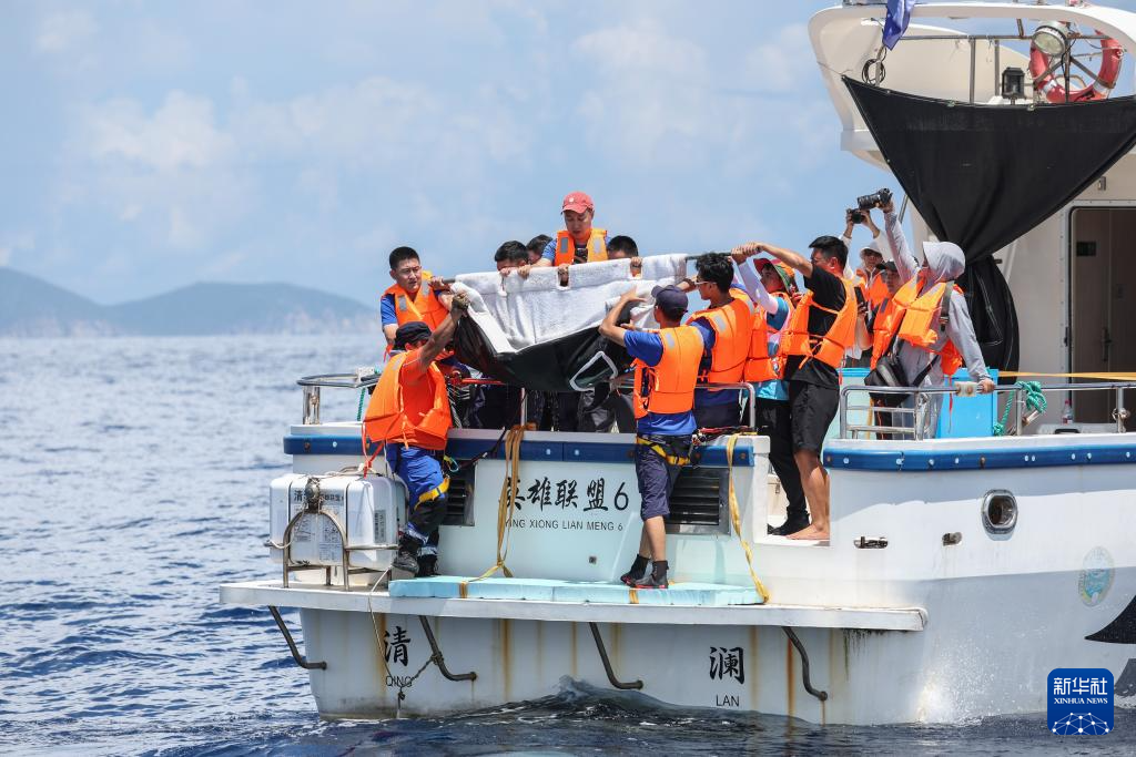 海南万宁获救海豚“万万”成功回归大海