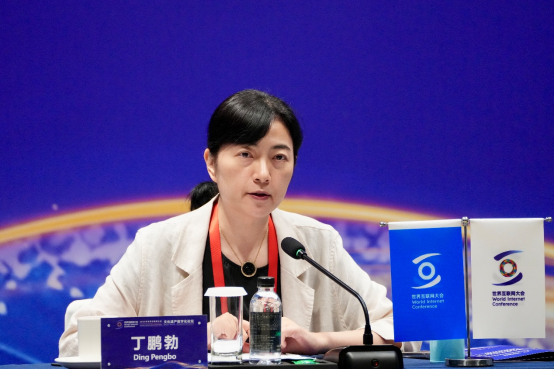 丁鹏勃：文物活化要从“数字复制”走向“价值再生”