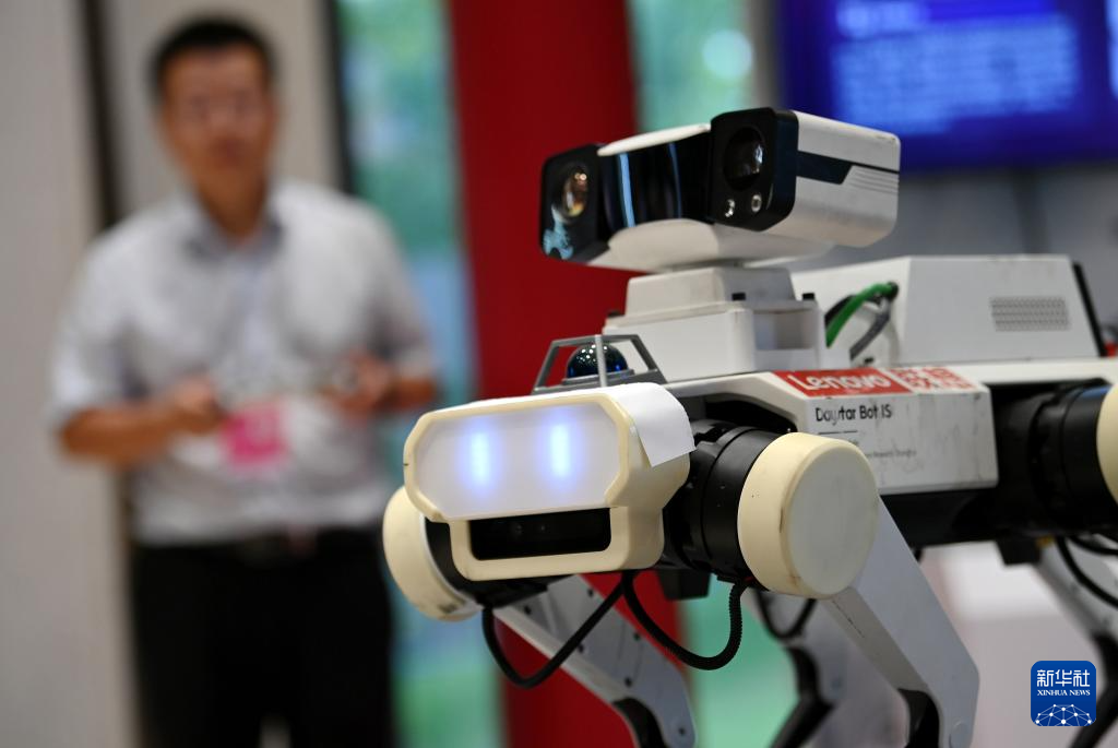 2025年世界互联网大会文化遗产数字化论坛在西安举行