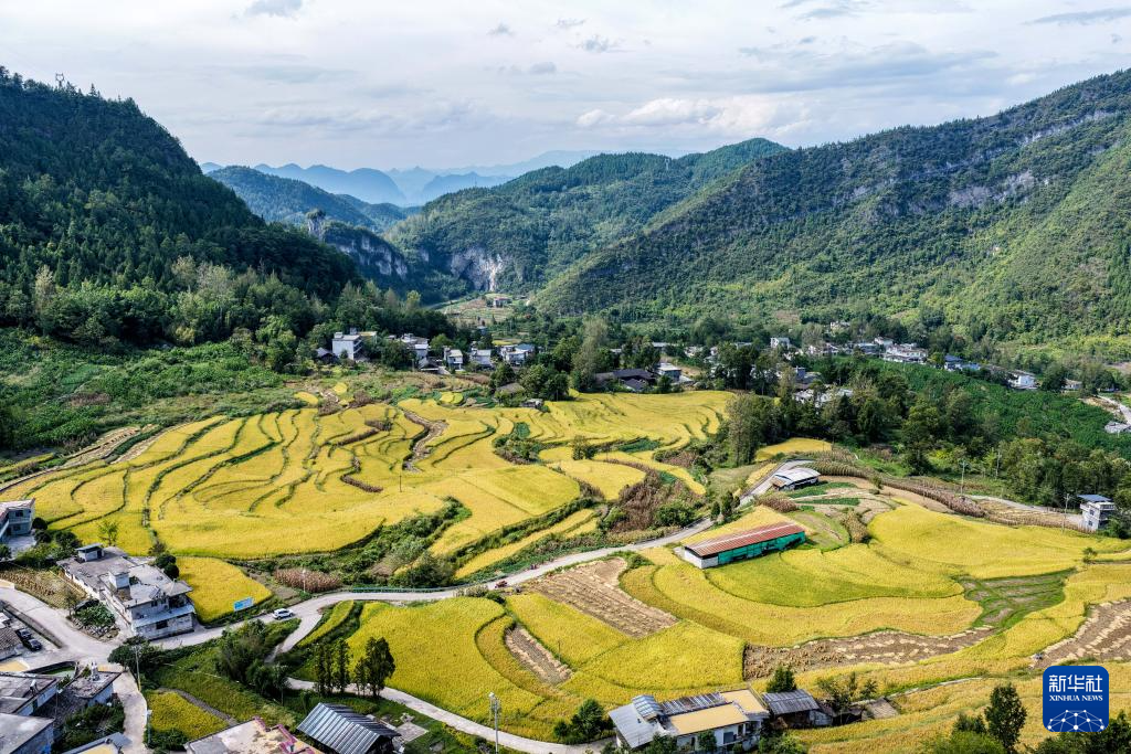 重庆黔江：武陵山乡迎丰收