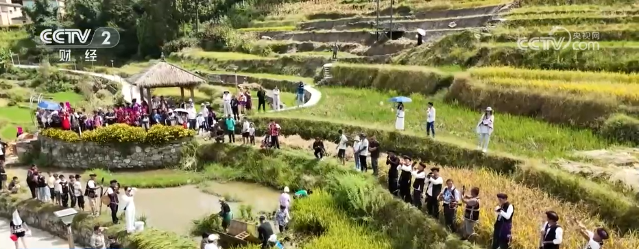 人气足、消费火！双节临近文旅市场热度攀升 消费市场供需两旺