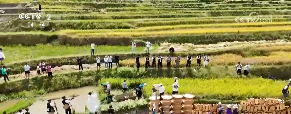 人气足、消费火！双节临近文旅市场热度攀升 消费市场供需两旺