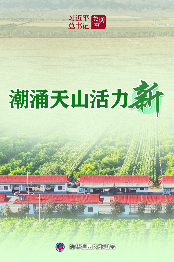 习近平总书记关切事丨潮涌天山活力新