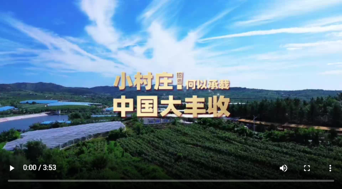 庆农业丰收，享美好生活！看齐鲁大地金秋丰收盛景