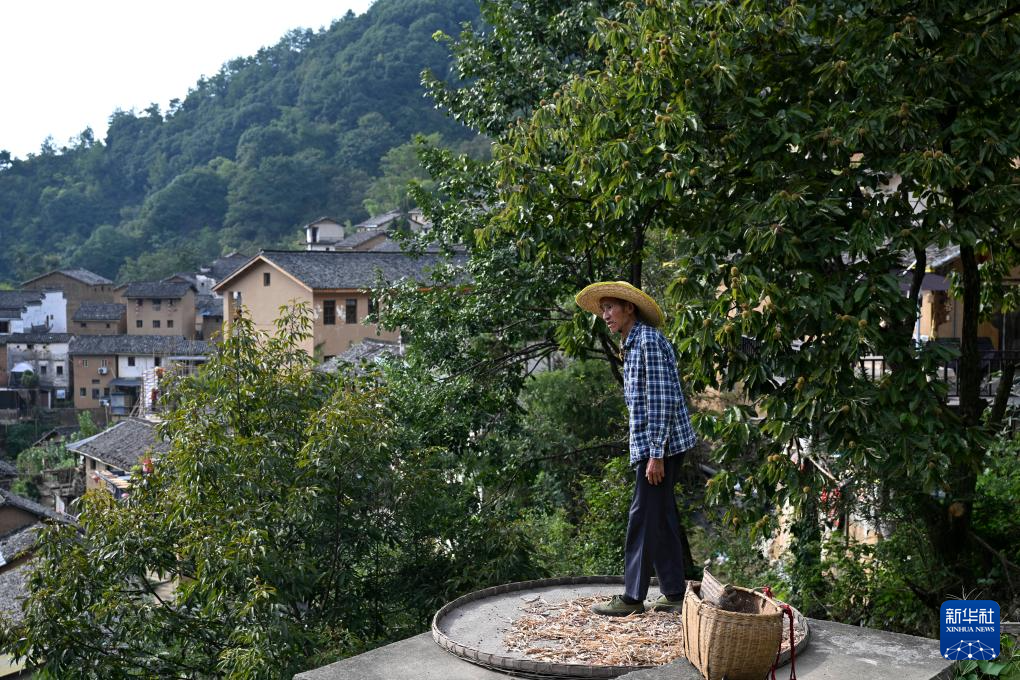 文化中国行·传统村落人文影像志丨丰收节前后，这里藏着皖南最“红火”的秋