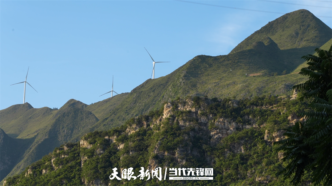 桥下人家｜是交通桥，更是我们的“致富桥”