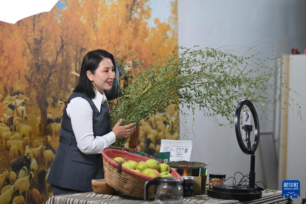 潮涌新疆70年 小村新变：达西村里的幸福日子