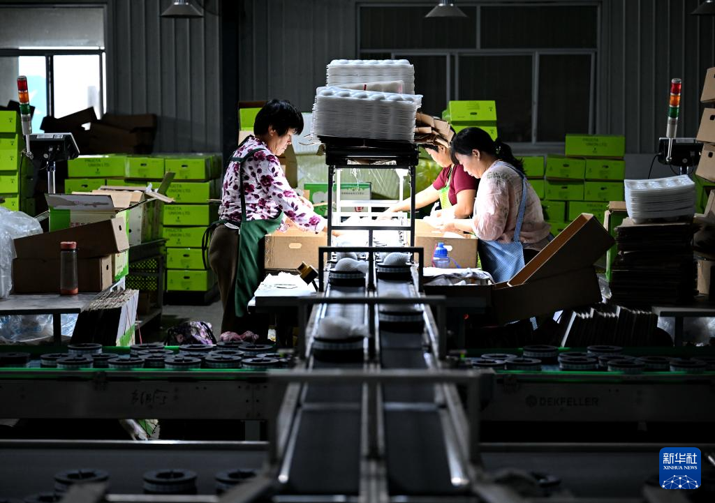 河北泊头：“鸭梨之乡”鲜梨丰收出口忙