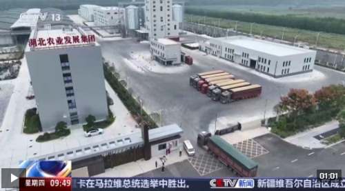 粮食住进“好房子” 好模式助增收！各地保障秋收有“粮”方