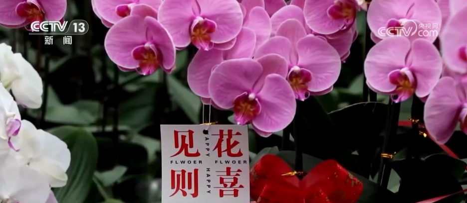 “菜篮子”量足价稳、鲜花市场备货忙 各地多举措保障节日市场供应