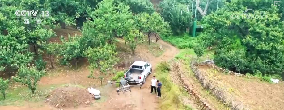 水肥精准“喂”、无人机“送”下山、“钢铁翼”忙脱叶 花样“黑科技”让丰收更智慧