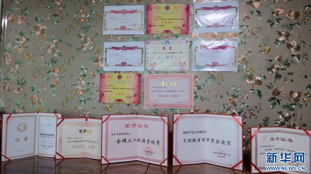 石榴花开 籽籽同心｜尼吉：幸福在典角绽放