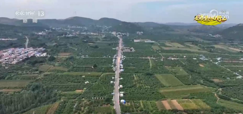 瓜果飘香、鱼蟹满舱，希望的田野处处是“丰”景！