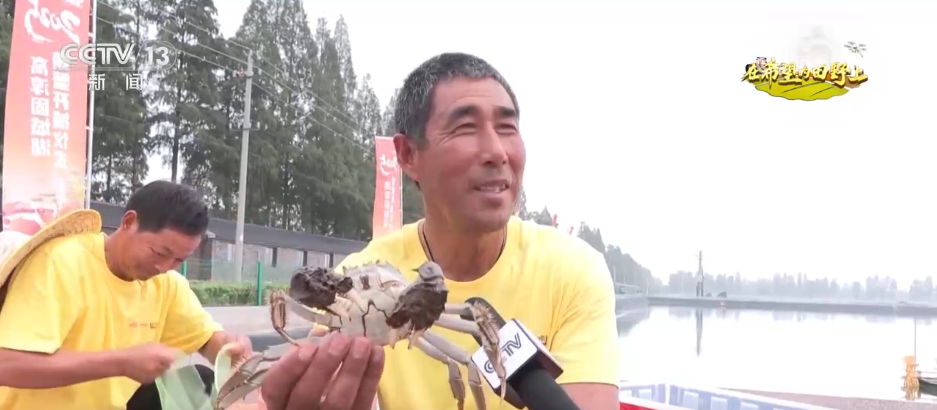 瓜果飘香、鱼蟹满舱，希望的田野处处是“丰”景！