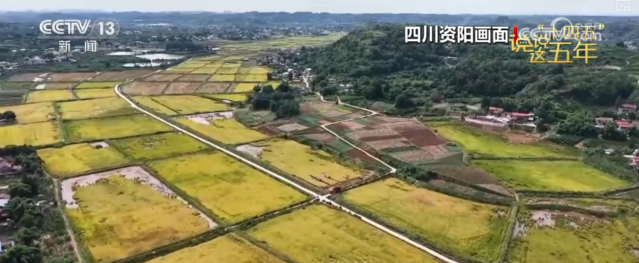 听！380秒百姓畅聊“十四五”这五年新变化……
