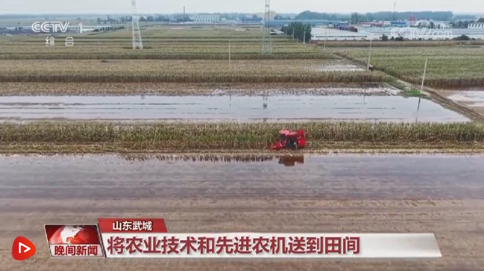 多地积极应对阴雨天气 力保秋粮丰产归仓