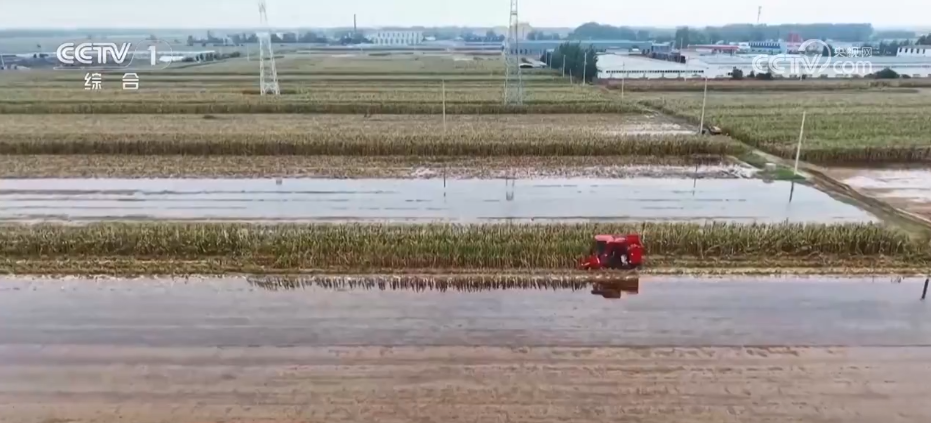 多地积极应对阴雨天气 力保秋粮丰产归仓