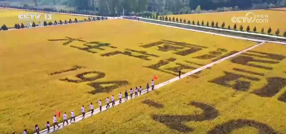 “丰收消费”打造农文旅融合新场景、新业态 打开田间地头增收新空间