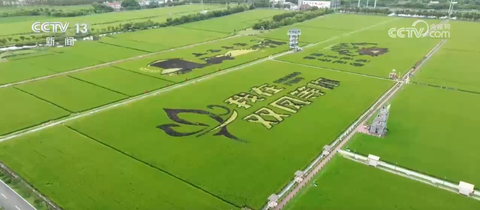 “丰收消费”打造农文旅融合新场景、新业态 打开田间地头增收新空间