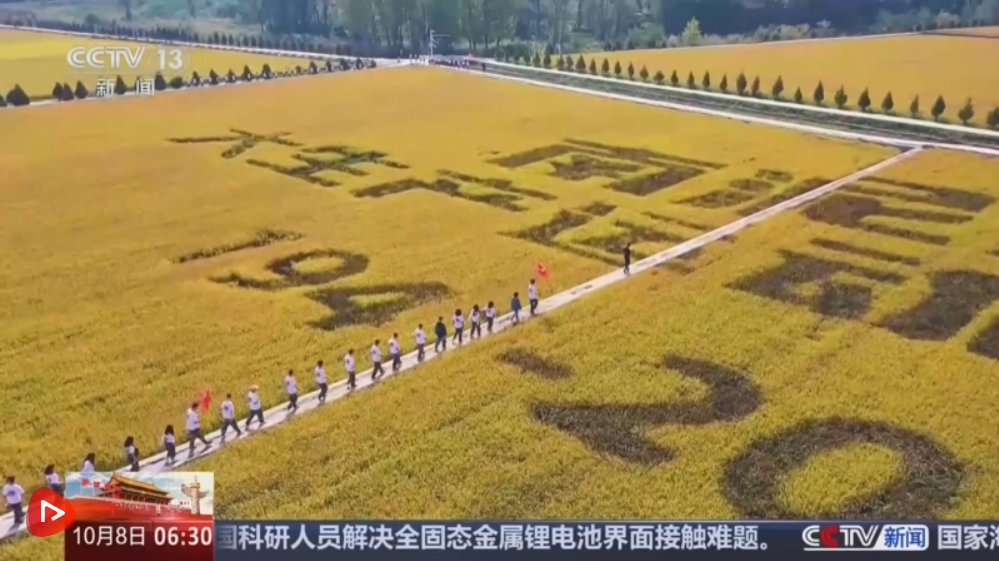 “丰收消费”打造农文旅融合新场景、新业态 打开田间地头增收新空间