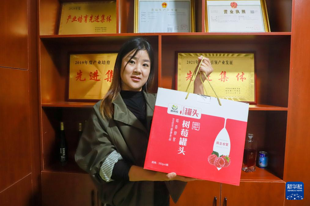 甘肃宕昌：种植红树莓助农增收