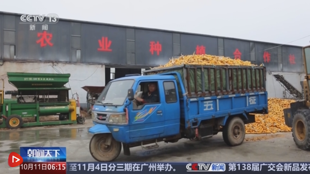 各地多举措战阴雨抢秋收：“粮食银行”护粮减损 烘干链闭环助农“收好粮卖好价”